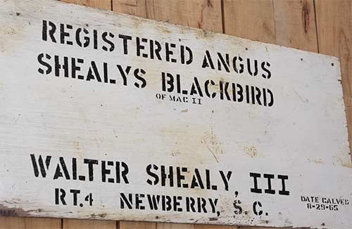 Angus Sign