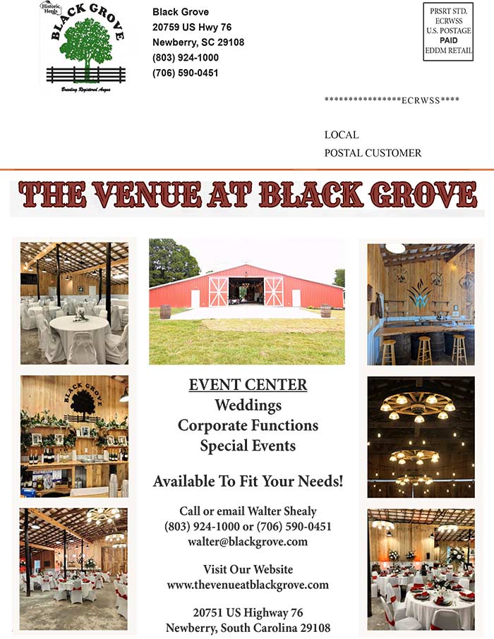 Summer Flyer Page 2