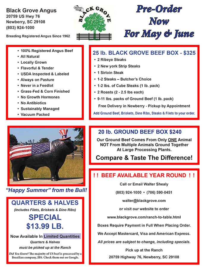 Summer Flyer Page 1