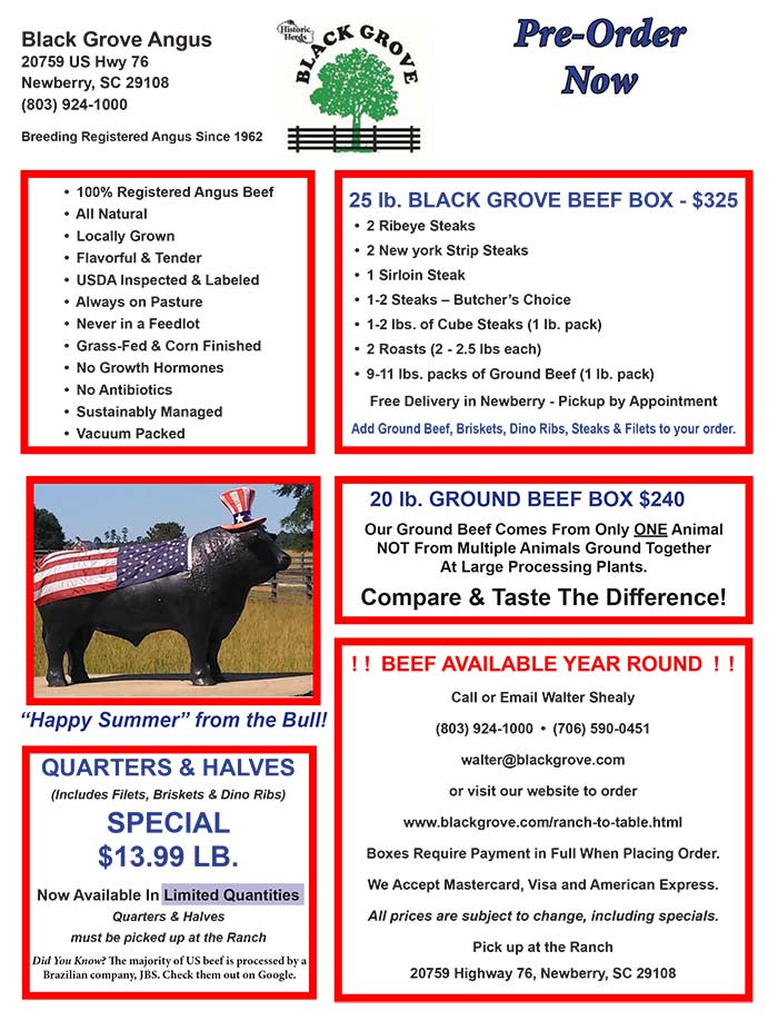 Summer Flyer Page 1